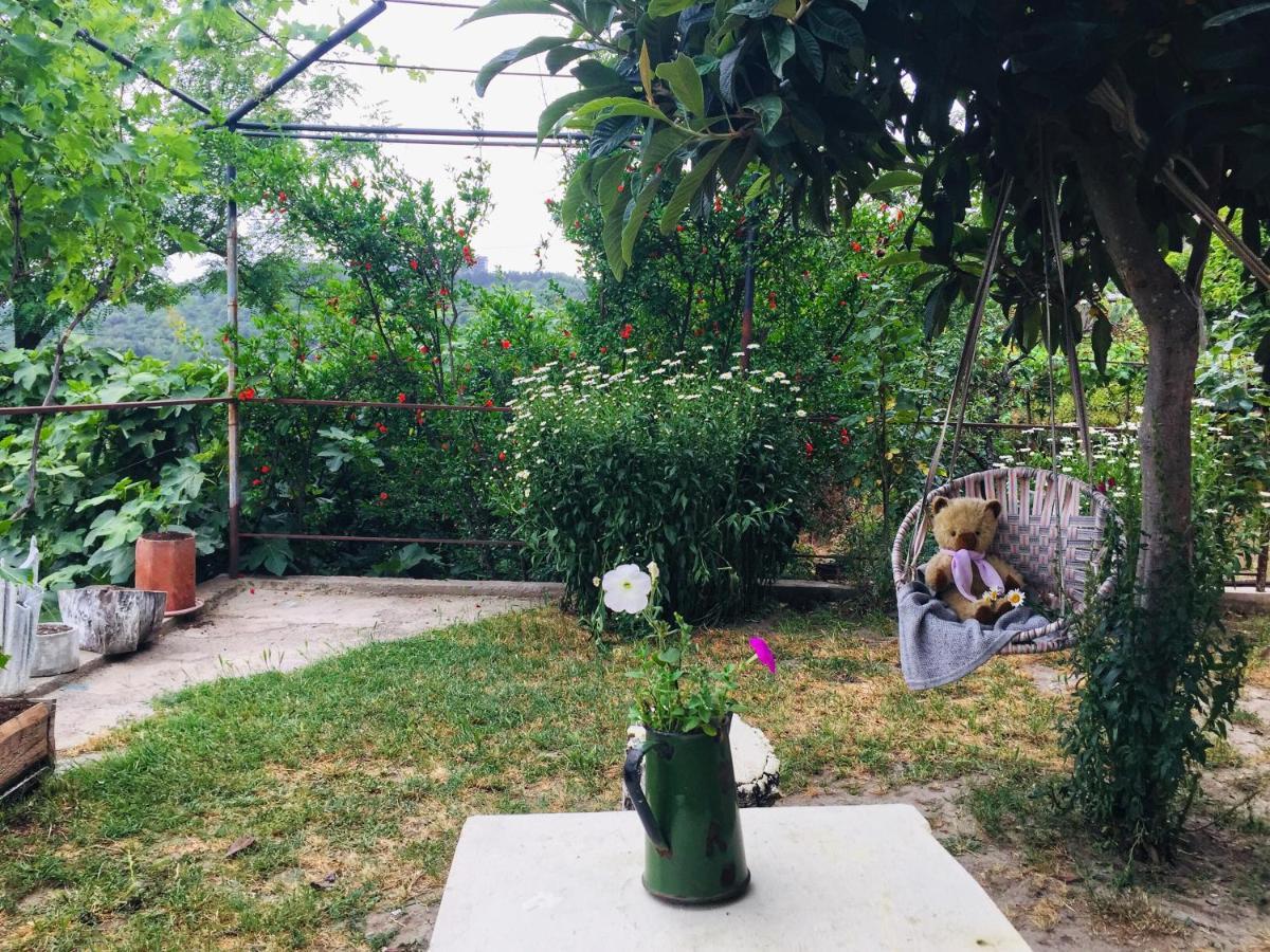Zurabashvili Guest House Sighnaghi Extérieur photo
