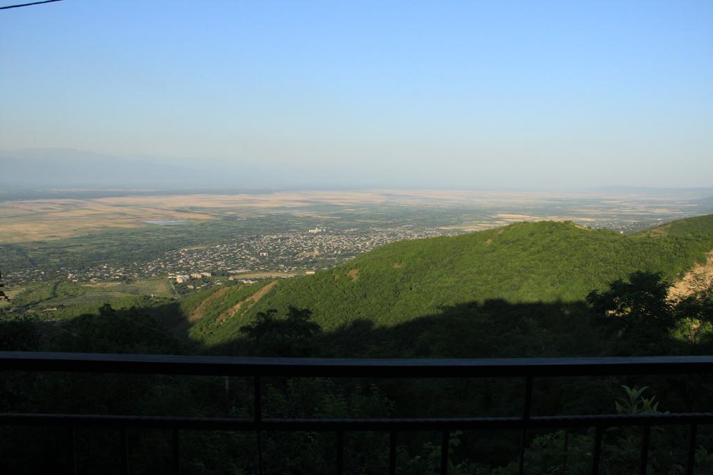 Zurabashvili Guest House Sighnaghi Extérieur photo