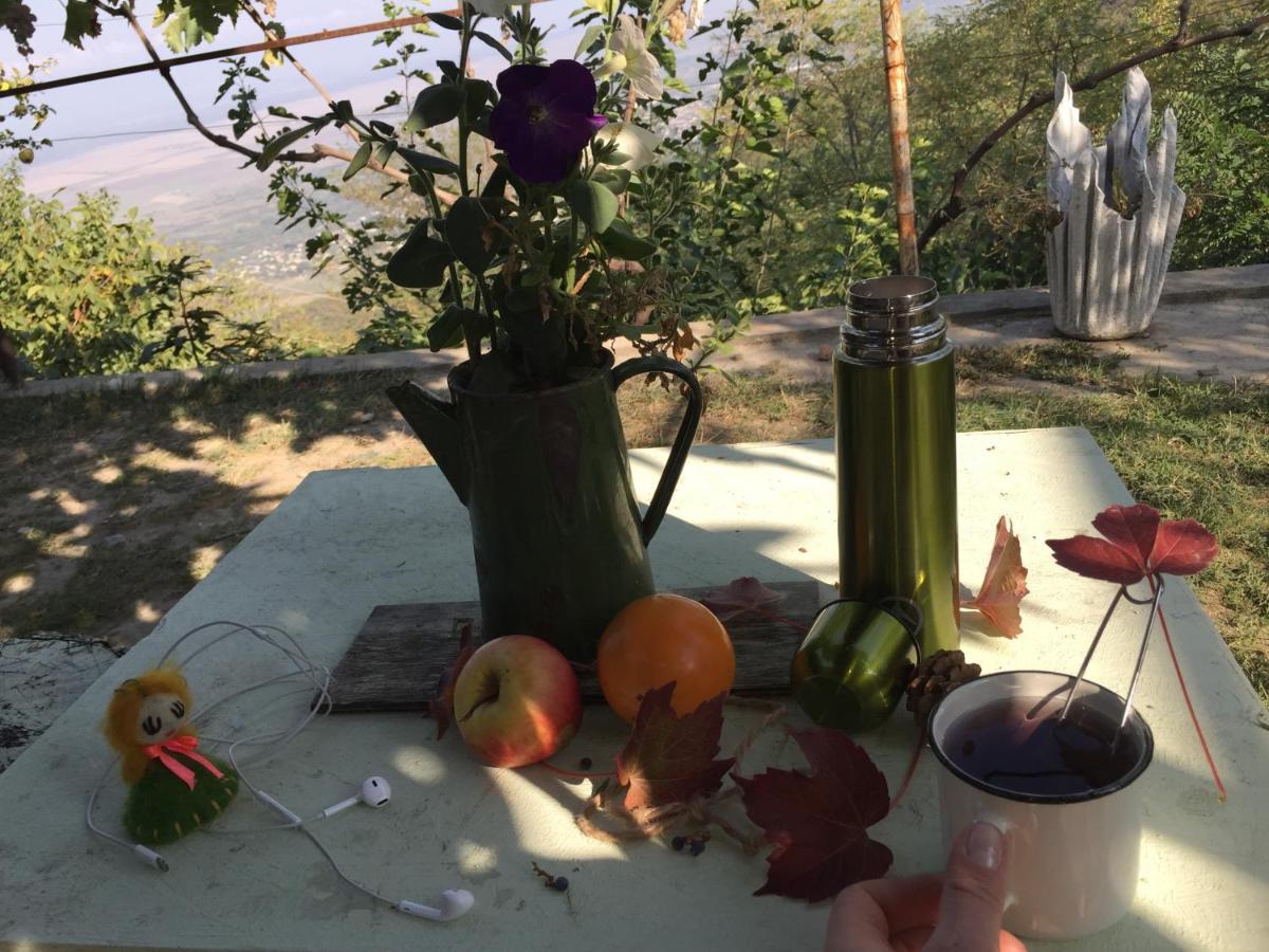 Zurabashvili Guest House Sighnaghi Extérieur photo